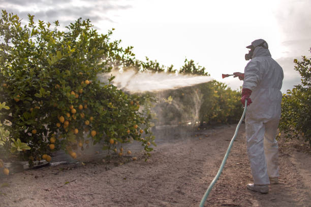 Best Wildlife Control Services  in Pine Valley, CA